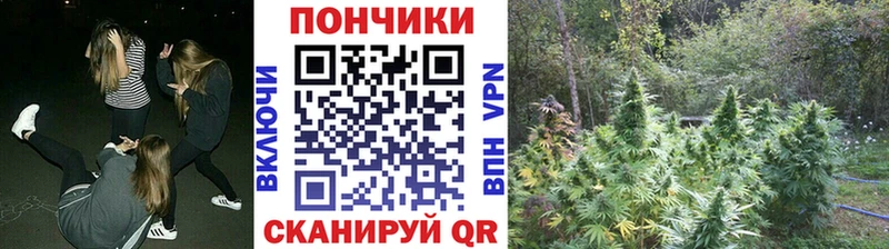 Бошки Шишки тримм  гидра ТОР  Омск  купить наркотик 